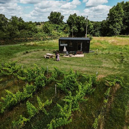 Tiny House Au Milieu Des Vignes Villa Arbis Exterior photo