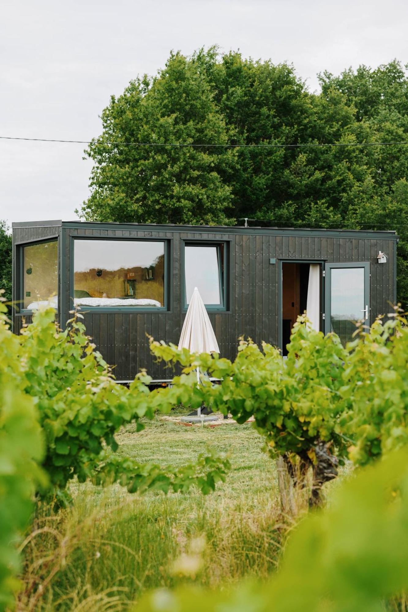 Tiny House Au Milieu Des Vignes Villa Arbis Exterior photo